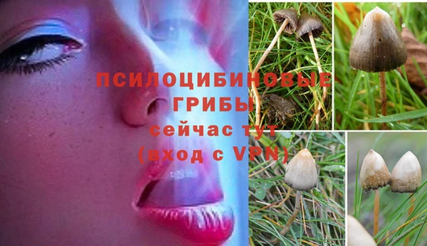 мескалин Наволоки