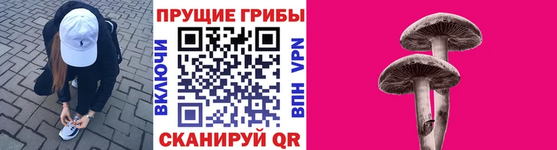 mega как зайти  Саратов  Псилоцибиновые грибы мицелий 