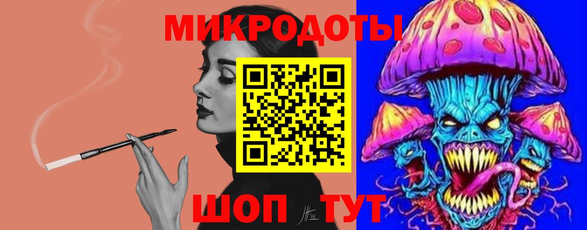 Галлюциногенные грибы Psilocybe Саратов